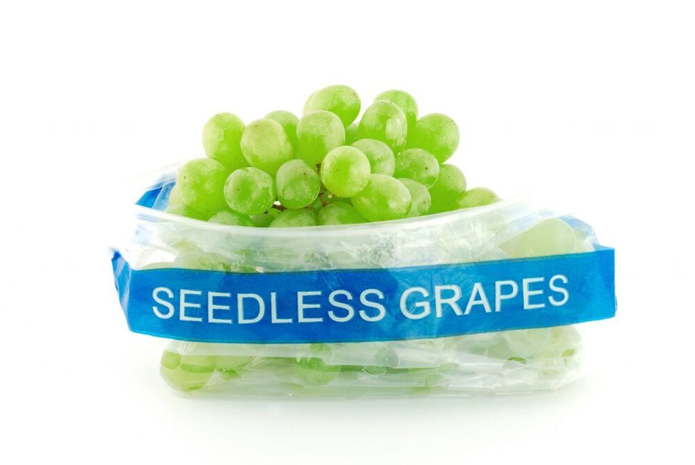 Blue Grape Pouch - Color: Transparent
