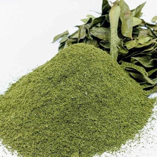 Curry Leaves Extract 20% Saponin