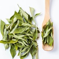 Curry Leaves Extract 20% Saponin