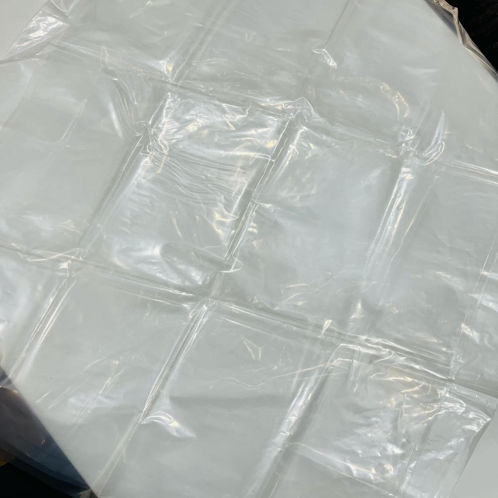 Transparent Compostable Bags - Load Capacity: 20 Kilograms (Kg)