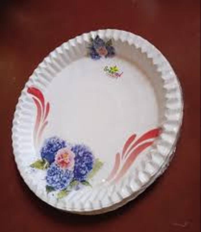 350 ITC Printed Paper Plate