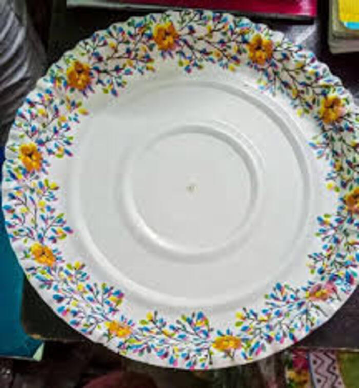 350 ITC Printed Paper Plate