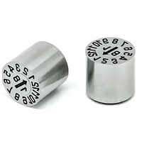 Date Inserts - Color: Silver
