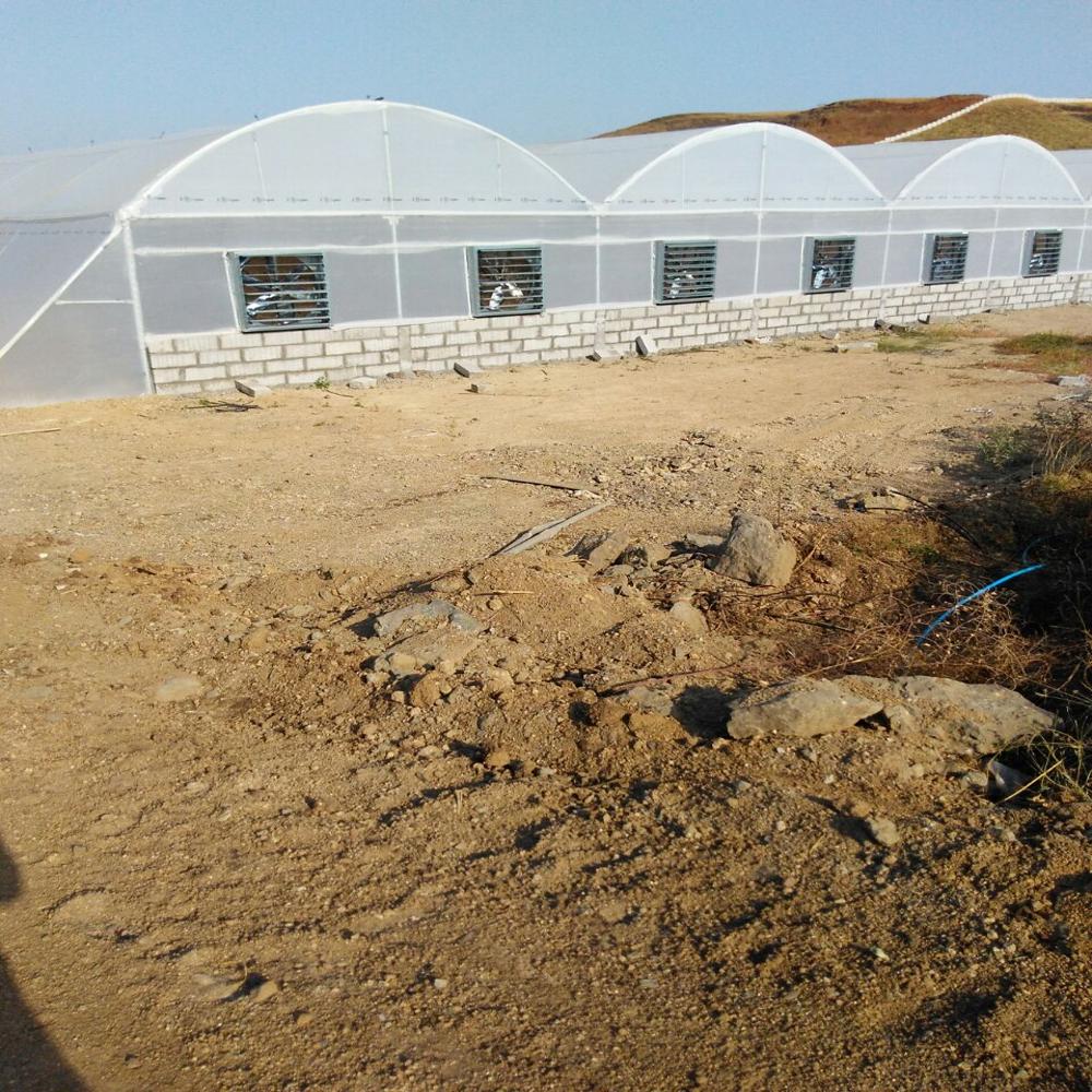  Greenhouse Exhaust Fan