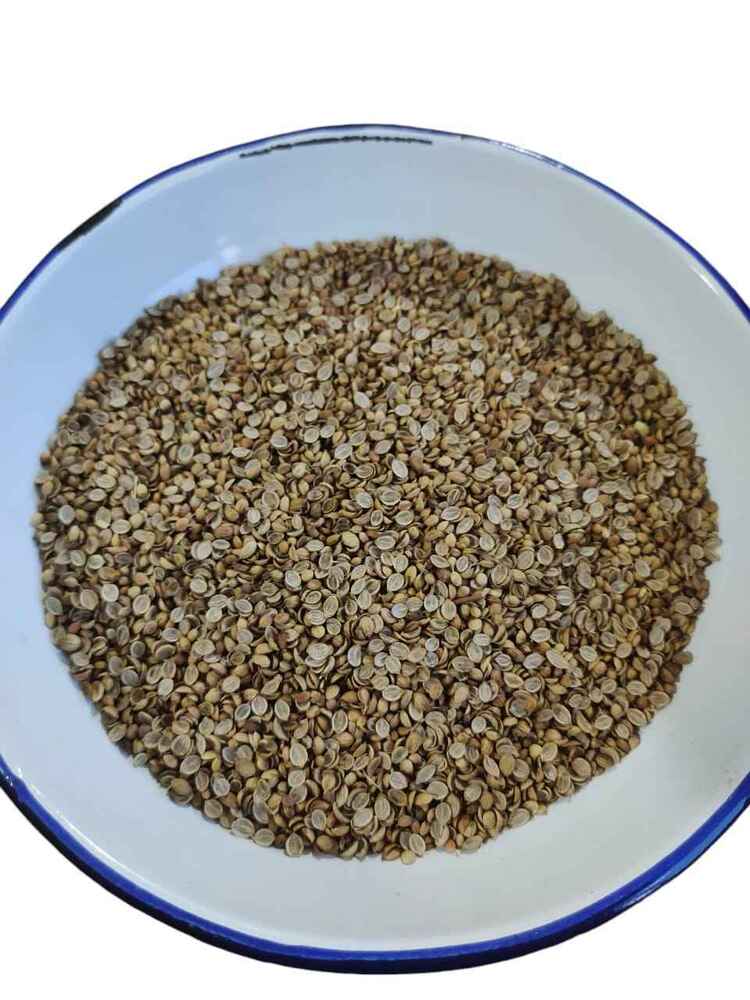 Superior Grade Split Coriander Seeds - Product Type: Fresh