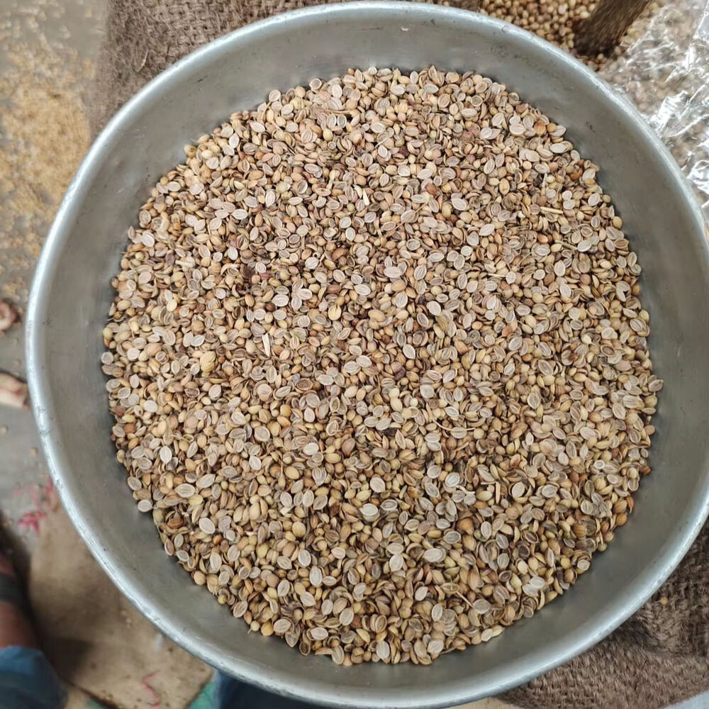 Yellow Split Coriander Seeds - Grade: Food Grade