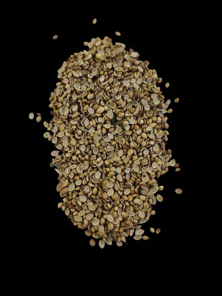 Air Dried Coriander Broken Split Coriander Seeds