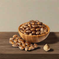 Premium Jamaican Black Castor Seeds