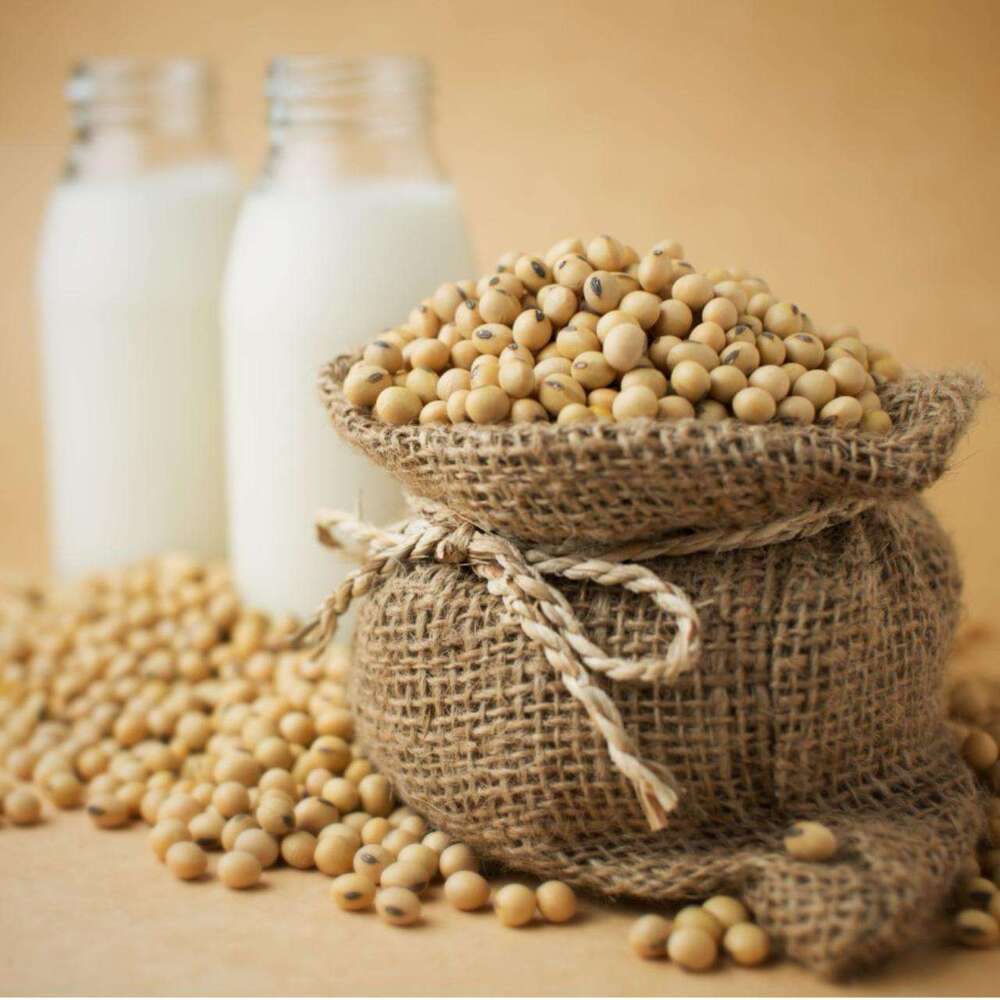 Premium Non GMO Soybean