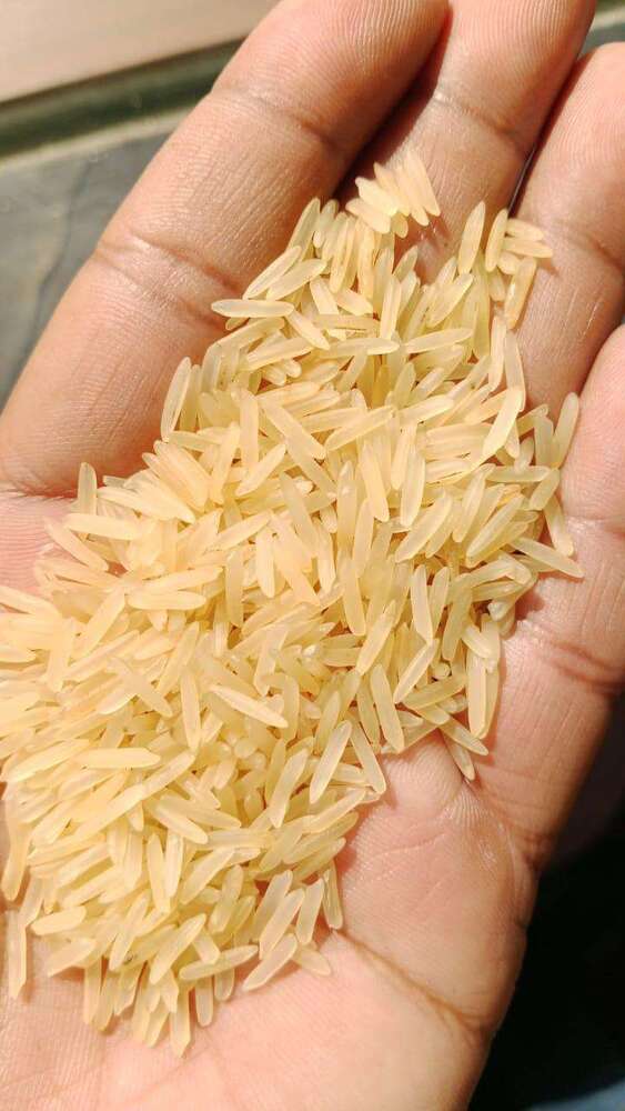 1121 Golden Sella Non Basmati Rice - Cultivation Type: Common