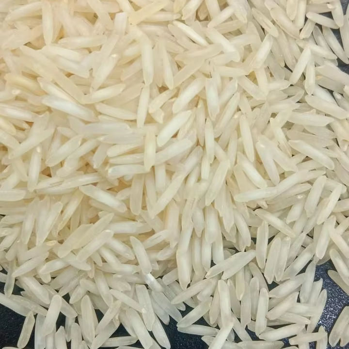 1121 Export Quality Indian Basmati Rice - Cultivation Type: Common