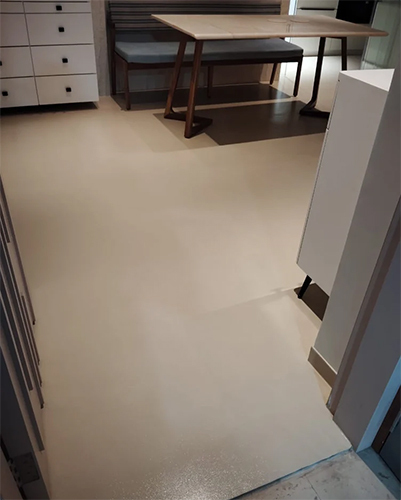 Micro Concrete Flooring
