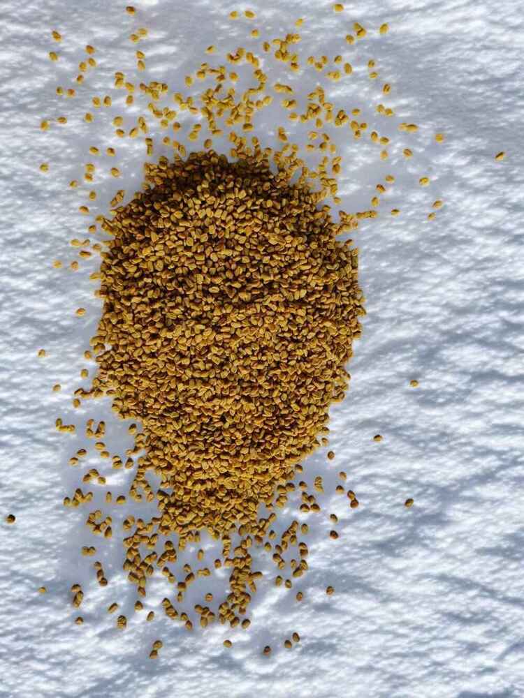 All-Natural Dried Indian Fenugreek Seeds