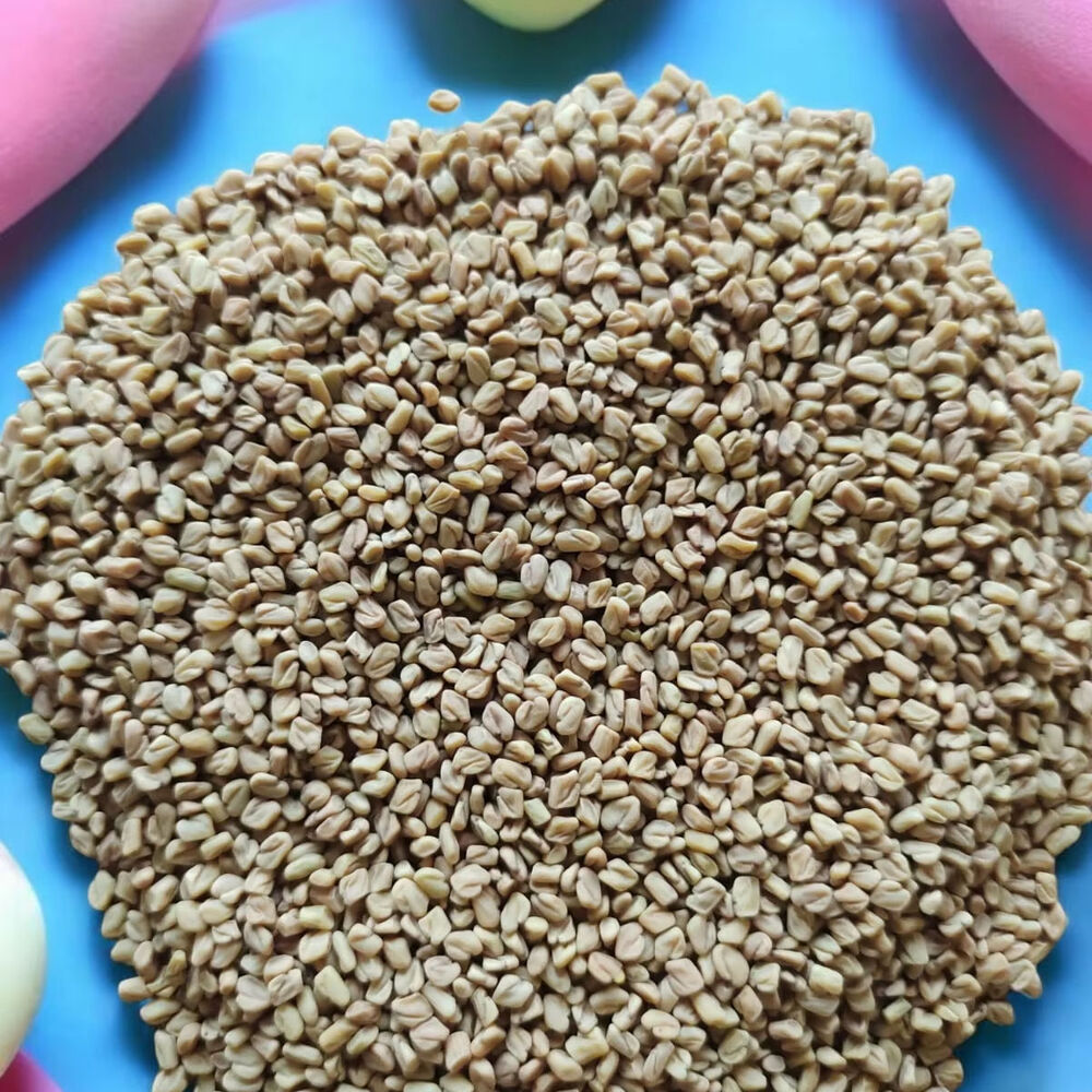 Premium Quality Organic Fenugreek Seeds - Grade: Food Grade