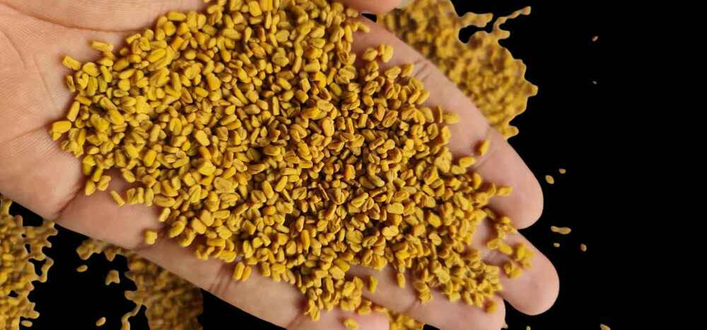 Naturally Seasoned Fenugreek Seeds