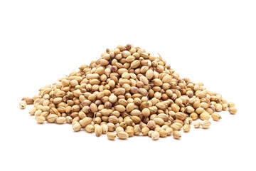 Fresh And Dried Coriander Seeds