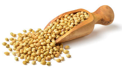 Premium Grade Coriander Seeds
