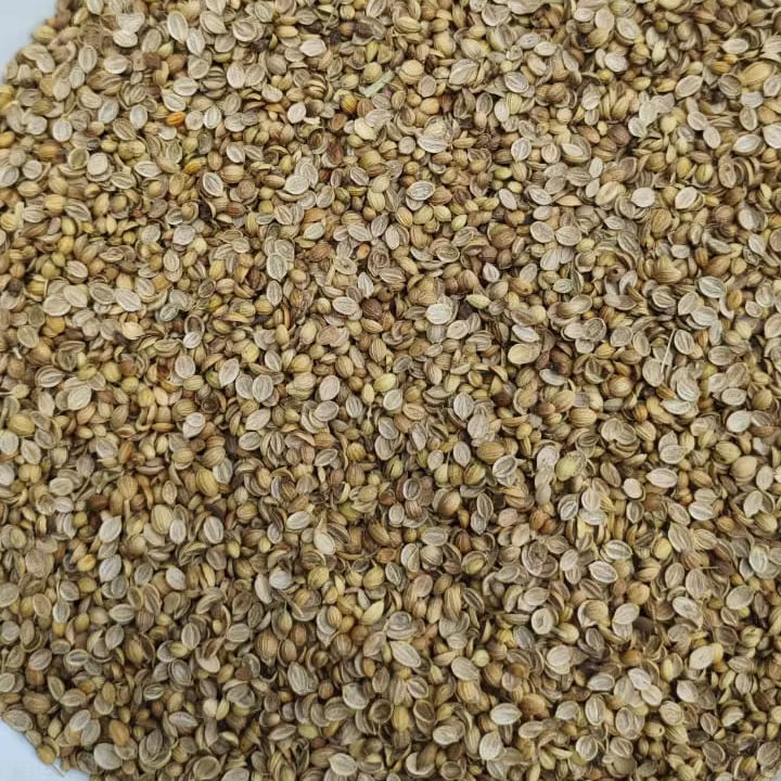 Natural Dried Coriander Seeds