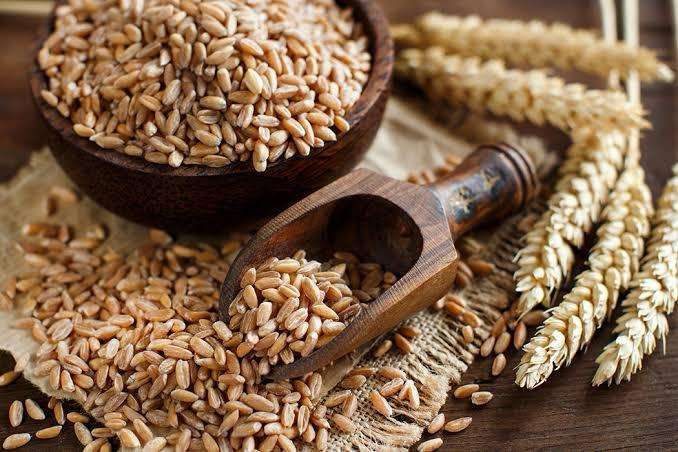 Organic Grains Whole Wheat - Grade: Food Grade