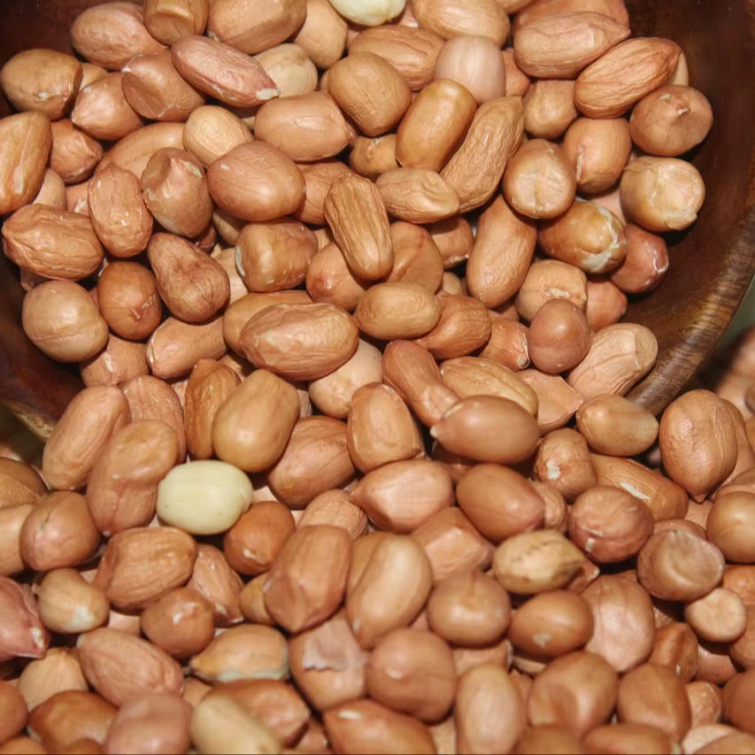 Premium Grade Peanuts