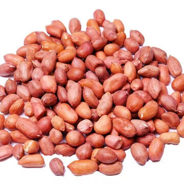 Top Quality Peanuts For Snacks - Cultivation Type: Common