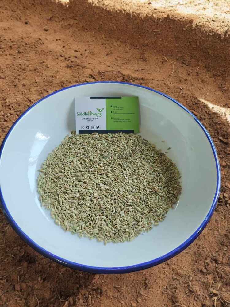 Top Grade Organic Fennel Seeds