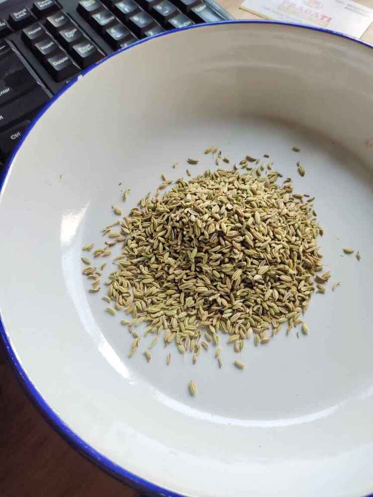 High Quality Fennel Seeds
