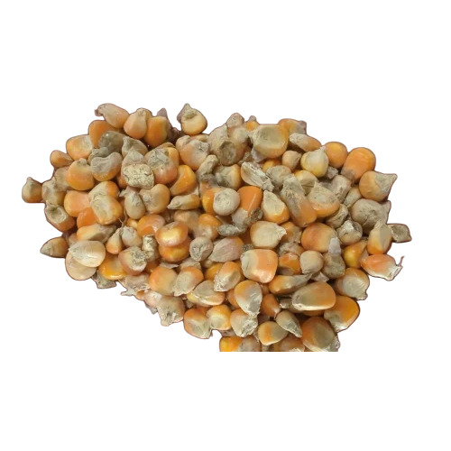 6Mm Maize Cattle Feed - Color: Yellow