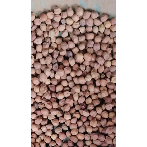 6Mm Desi Chana - Color: Brown