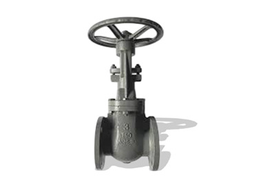 Pn10 Cast Iron Valve - Color: Grey