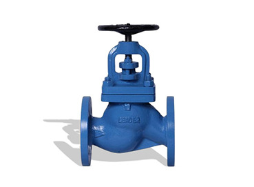 Pn10 Cast Iron Valve - Color: Grey