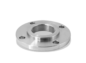Ss Flanges - Color: Silver