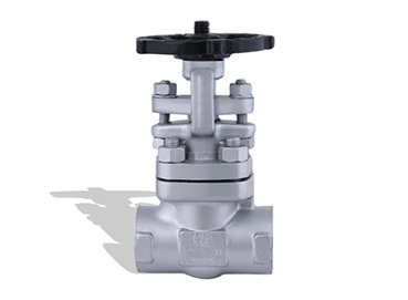 High Pressure Forged Steel Check Valve