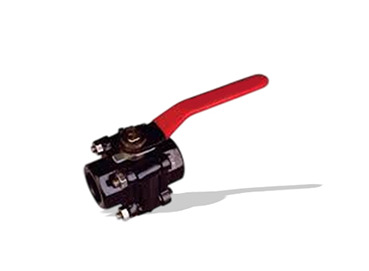 High Pressure Forged Steel Check Valve