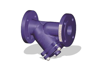 Cast Iron Y Type Strainer Valve