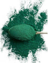 Spirulina Powder
