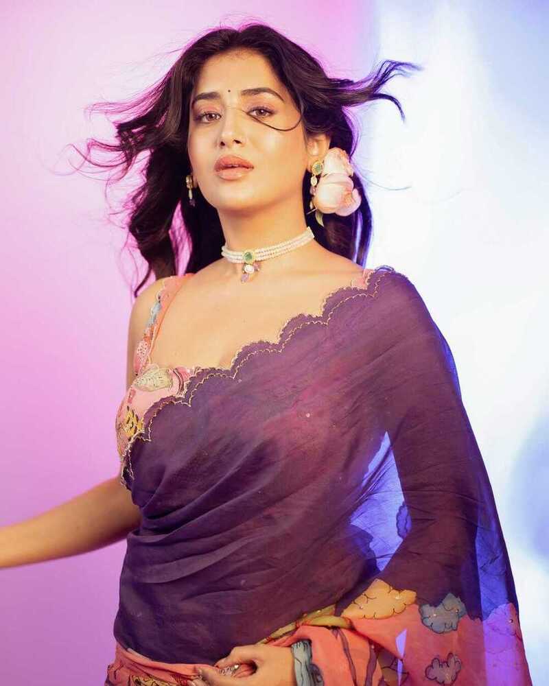 Teby silk fabric with beautiful butterfly digital print with cutdana moti