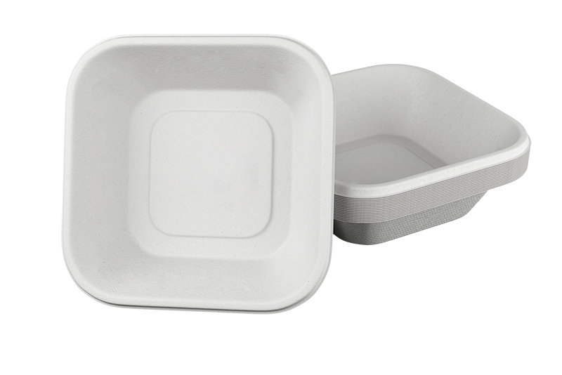 Sugarcane bagasse Square Bowl