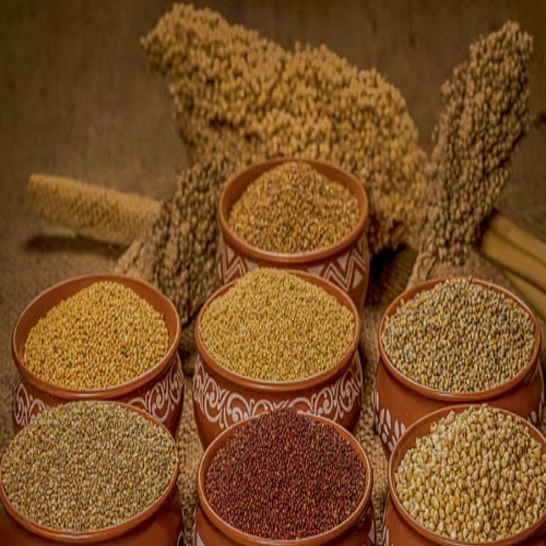 Millets Seed - Admixture (%): 1% Max