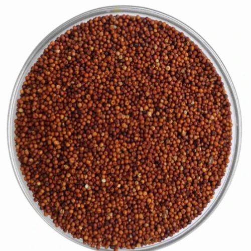 Millets Seed - Admixture (%): 1% Max