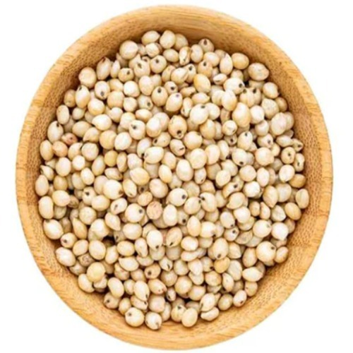Millets Seed - Admixture (%): 1% Max