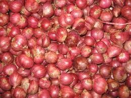 छोटी प्याज़