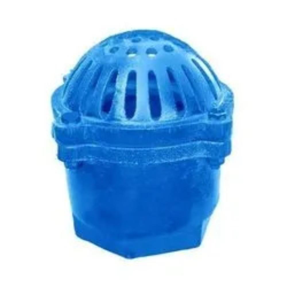 Cast Iron Foot Valve