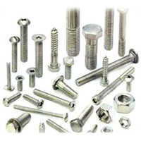 SS Fasteners