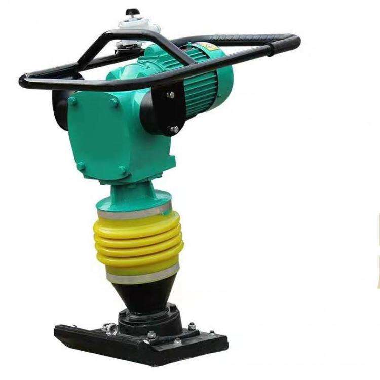Tamping Rammer Rtr 80E - Color: Customized