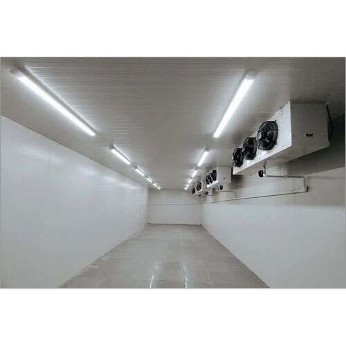 3 Phase Walk In Freezer - Color: White