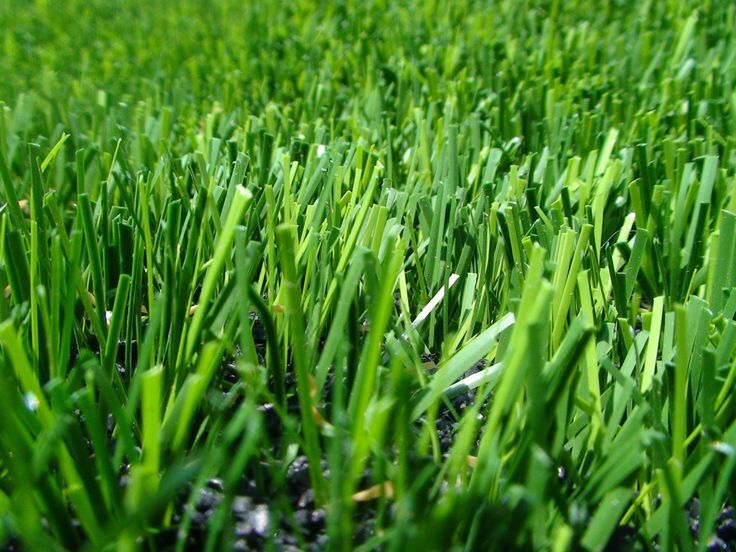 Football fifa artificial grass