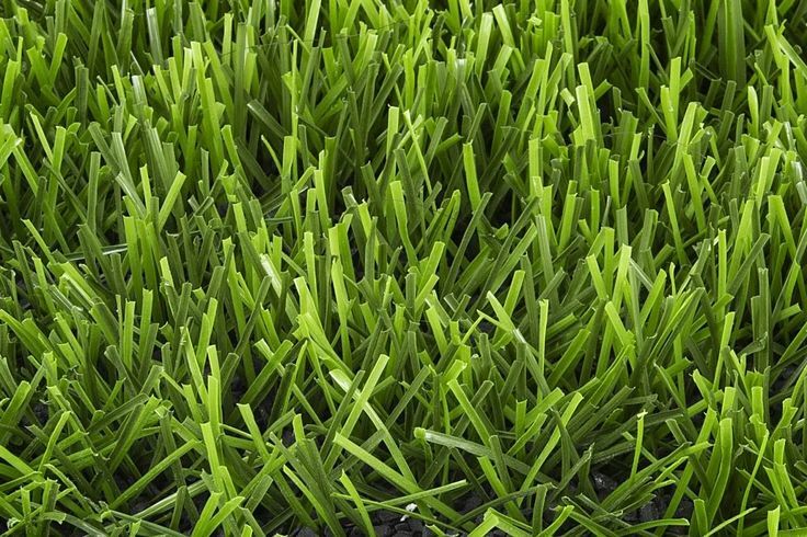 Football fifa artificial grass