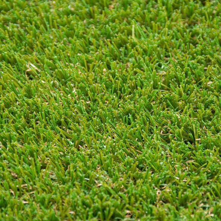 Football fifa artificial grass