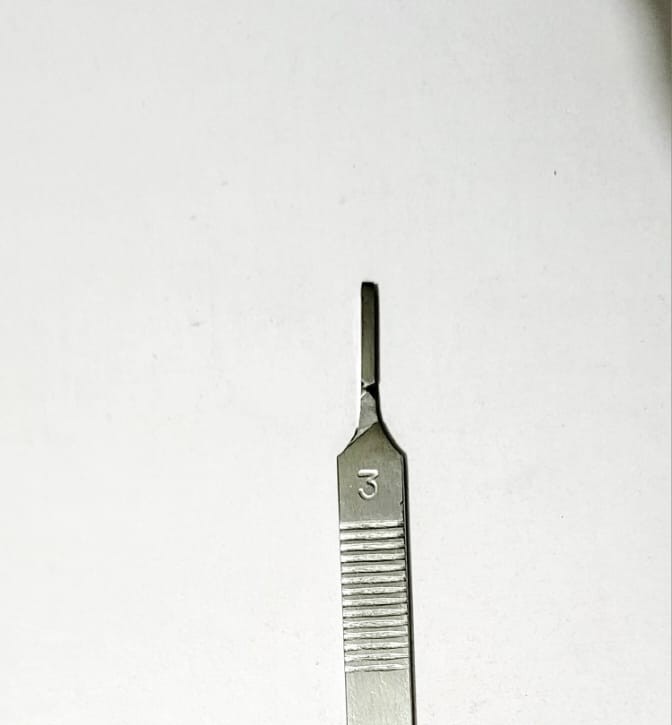 Bp Handle 2 In 1 - Stainless Steel, Approx. 11-16.5 Cm Long, Polished Silver Finish | Ergonomic Grip, Dual-ended Design, Compatible With Multiple Blades